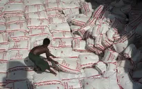 Thái Lan trở lại là nhà xuất khẩu gạo lớn nhất thế giới