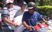 TT-Huế: Gần 800 tấn gạo hỗ trợ người dân sau sự cố môi trường