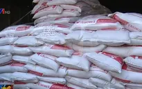 Gạo lậu xâm nhập thị trường Việt Nam
