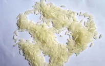 Không có chuyện phát hiện gạo giả ở Quảng Trị