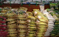 Đảm bảo bình ổn thị trường cuối năm 2016 và dịp Tết Nguyên đán Đinh Dậu