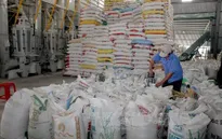 Năm 2020, 20% lượng gạo xuất khẩu mang thương hiệu “Gạo Việt Nam”