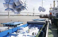 Xuất khẩu nông lâm thủy sản đạt 12 tỷ USD 5 tháng đầu năm