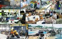 Mục tiêu tăng trưởng GDP 6,3% trong năm 2016 cũng rất khó khả thi