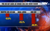 Lợi nhuận doanh nghiệp niêm yết: Nơi tăng vọt, nơi rớt thảm