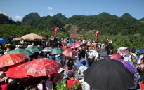 Hàng nghìn du khách đổ về dự Lễ hội hái mận 2016
