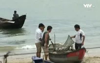 Sự cố môi trường do Formosa: Sẽ truy cứu trách nhiệm cá nhân chặt chẽ