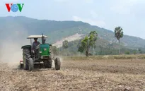 ĐBSCL: Hơn 100.000ha lúa bị ảnh hưởng nghiêm trọng bởi hạn, mặn