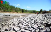 Kon Tum công bố thiên tai hạn hán cấp độ 1