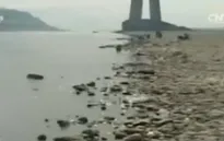 Hạn hán kéo dài đe dọa mùa màng tại khu vực sông Mekong