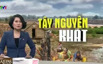 Không giữ được rừng, Tây Nguyên "khát cháy" vì đợt hạn hán kỷ lục