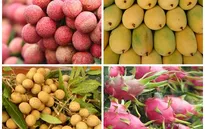 Nhiều hoa quả Việt Nam xâm nhập các thị trường khó tính