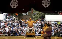 Lễ hội mùa Xuân của các võ sĩ Sumo Nhật Bản