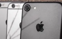 Sử dụng iPhone 7 tại những cơ quan này sẽ khiến bạn mất việc ngay lập tức