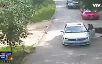 Một phụ nữ thiệt mạng vì bị hổ vồ tại Trung Quốc