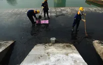 Báo động ô nhiễm môi trường các hồ ở Hà Nội
