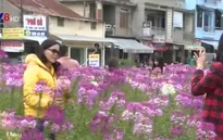 Không gian công cộng - Sức hút mới cho TP Đà Lạt