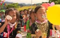 Hành trình gian nan của chương trình Sữa học đường