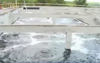 Công ty TNHH Mei Sheng có nhiều sai phạm trong việc xả thải xuống hồ Đá Đen