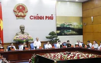 Lập tổ công tác kiểm tra việc thực hiện chỉ đạo của Thủ tướng