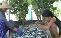 Quảng Trị miễn học phí cho học sinh vùng biển