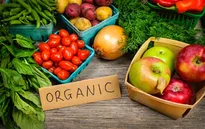 DN dè chừng đầu tư vào nông nghiệp hữu cơ: Vì sao?