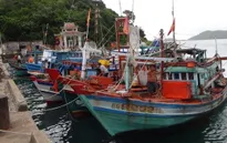 Quảng Nam: Hạ tầng nghề cá chưa đáp ứng yêu cầu