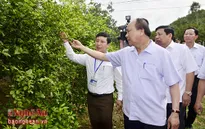 Thủ tướng Nguyễn Xuân Phúc thăm xã nông thôn mới ở Nghệ An