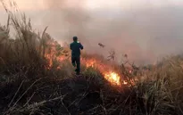 Cháy rừng trên núi Chứa Chan: Nghi nhóm phượt sử dụng lửa bất cẩn