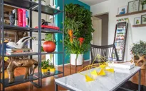 Mát mắt với căn hộ ngập tràn cây cối ở Los Angeles