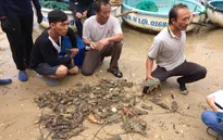 Tôm hùm chết do sốc nước lũ, người dân Phú Yên khóc ròng