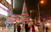 Mãn nhãn trước những cây thông Noel khổng lồ tại Hà Nội