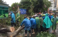 Hàng trăm thanh niên Thủ đô tham gia khắc phục hậu quả sau bão