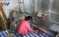Phát hiện cơ sở sản xuất bánh kẹo mứt Tết mất vệ sinh ngay trên địa bàn Thủ đô