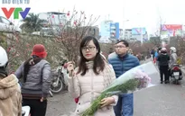 Hà Nội sẽ có 60 chợ hoa phục vụ tết Nguyên đán 2017