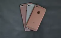 iPhone SE xuất hiện tràn lan tại thị trường Trung Quốc?