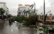 Bão số 1 đổ bộ vào Nam Định, gây mất điện trên diện rộng