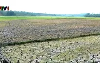 Miền Trung đối mặt với khô hạn và thiếu nước