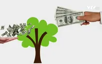 Vườn ươm tăng tốc khởi nghiệp là gì?