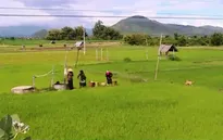 Nông dân ở "chảo lửa" Gia Lai tự khoan giếng... lấy nước trồng lúa