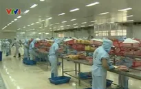 Kiểm soát chặt chẽ chất lượng thủy sản vào Hoa Kỳ