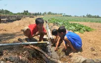 200.000 người dân Kiên Giang thiếu nước sạch