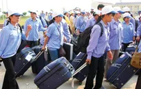 Tạm dừng tuyển dụng lao động đi Hàn Quốc năm 2016 ở một số địa phương