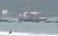 “Cá chết ở Đà Nẵng chưa có gì bất thường”