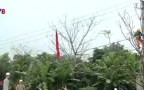 Quảng Trị nâng cấp lưới điện cho người dân đón Tết Nguyên đán 2016