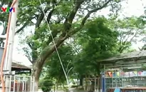 Báo động tình trạng mất an toàn lưới điện tại miiền Trung - Tây Nguyên