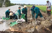 Long An công bố thiên tai do xâm nhập mặn cấp độ 2