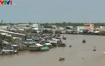 Mặn xâm nhập thành phố Cần Thơ