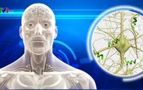 Phát hiện gen ngăn chặn sự phát triển của bệnh Alzheimer