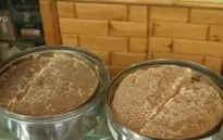 Ngành sản xuất mật ong của Yemen chao đảo do nội chiến